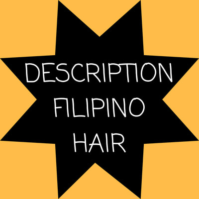 Raw Filipino Hair Vendors