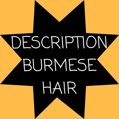 Raw Burmese Hair Vendors